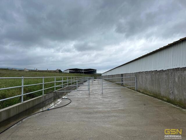 36-GSN GAYRİMENKUL'DEN AVRUPA STANDARTLARINDA RUHSATLI BESİÇİFTLİĞİ